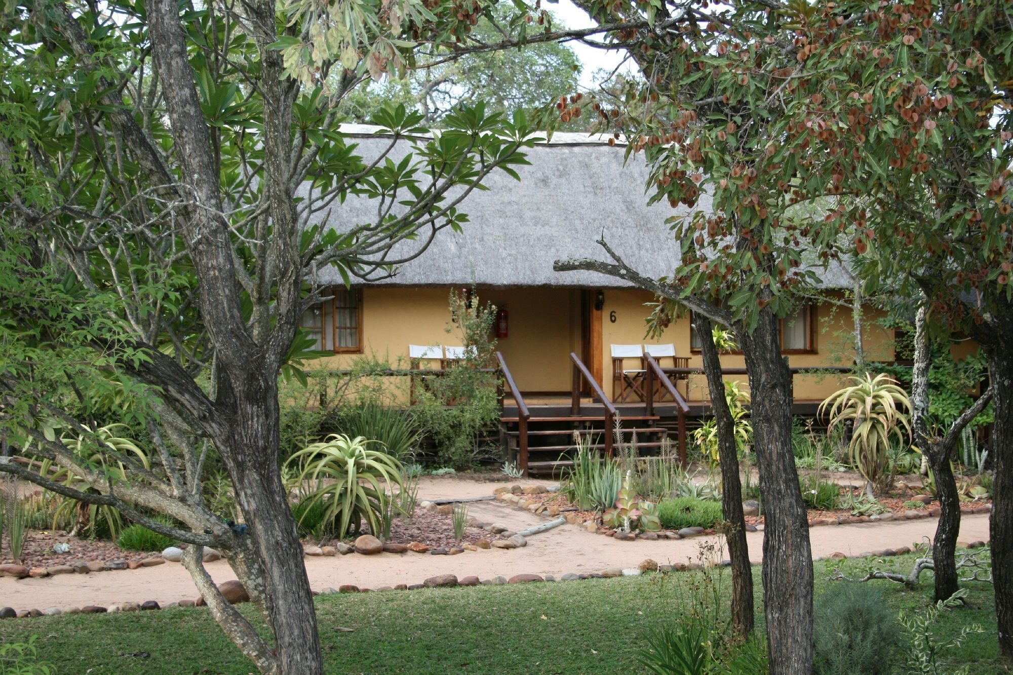 הודספרויט Thornhill Safari Lodge מראה חיצוני תמונה