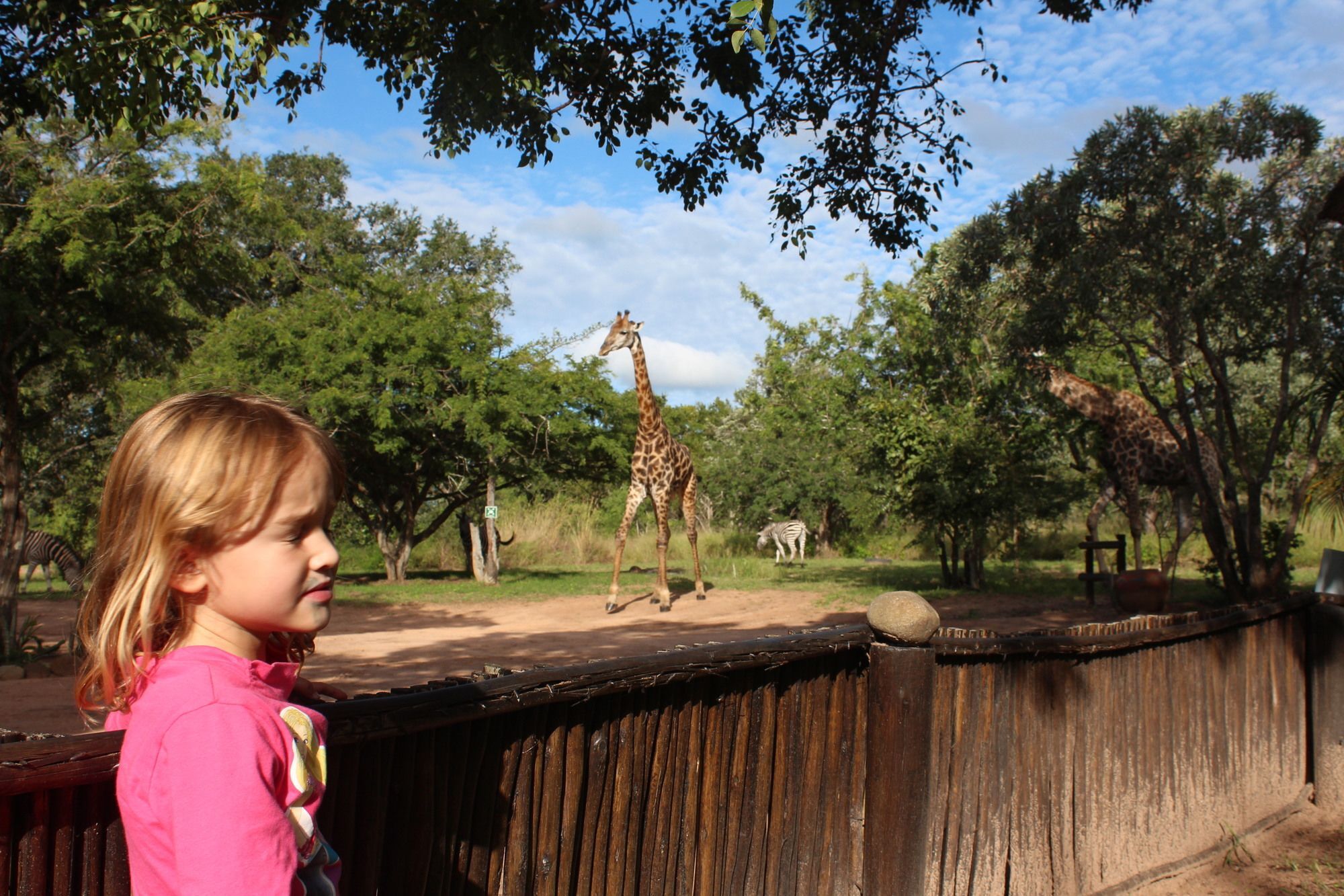 הודספרויט Thornhill Safari Lodge מראה חיצוני תמונה