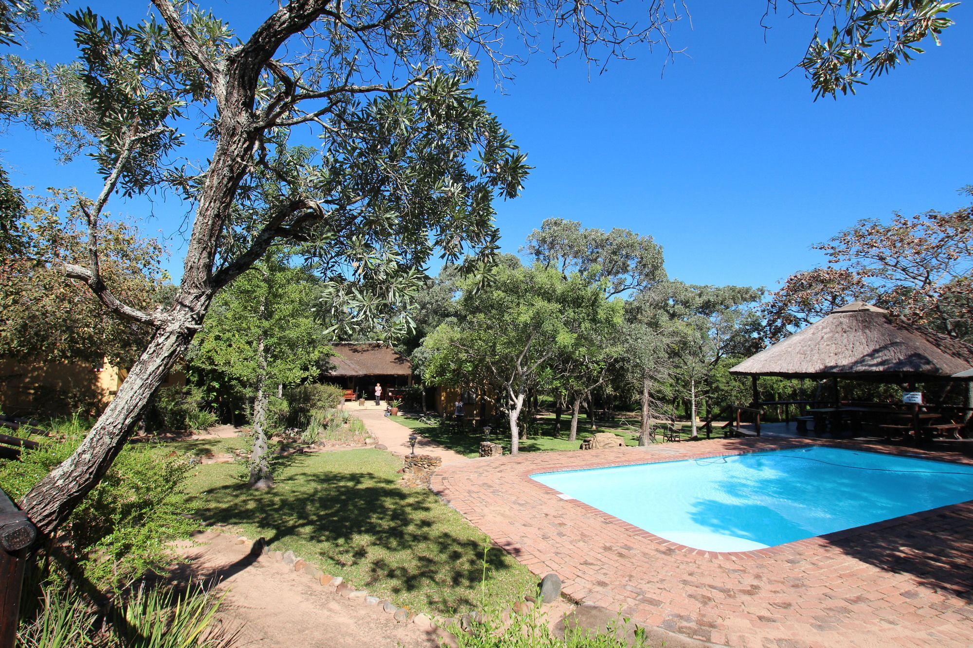 הודספרויט Thornhill Safari Lodge מראה חיצוני תמונה