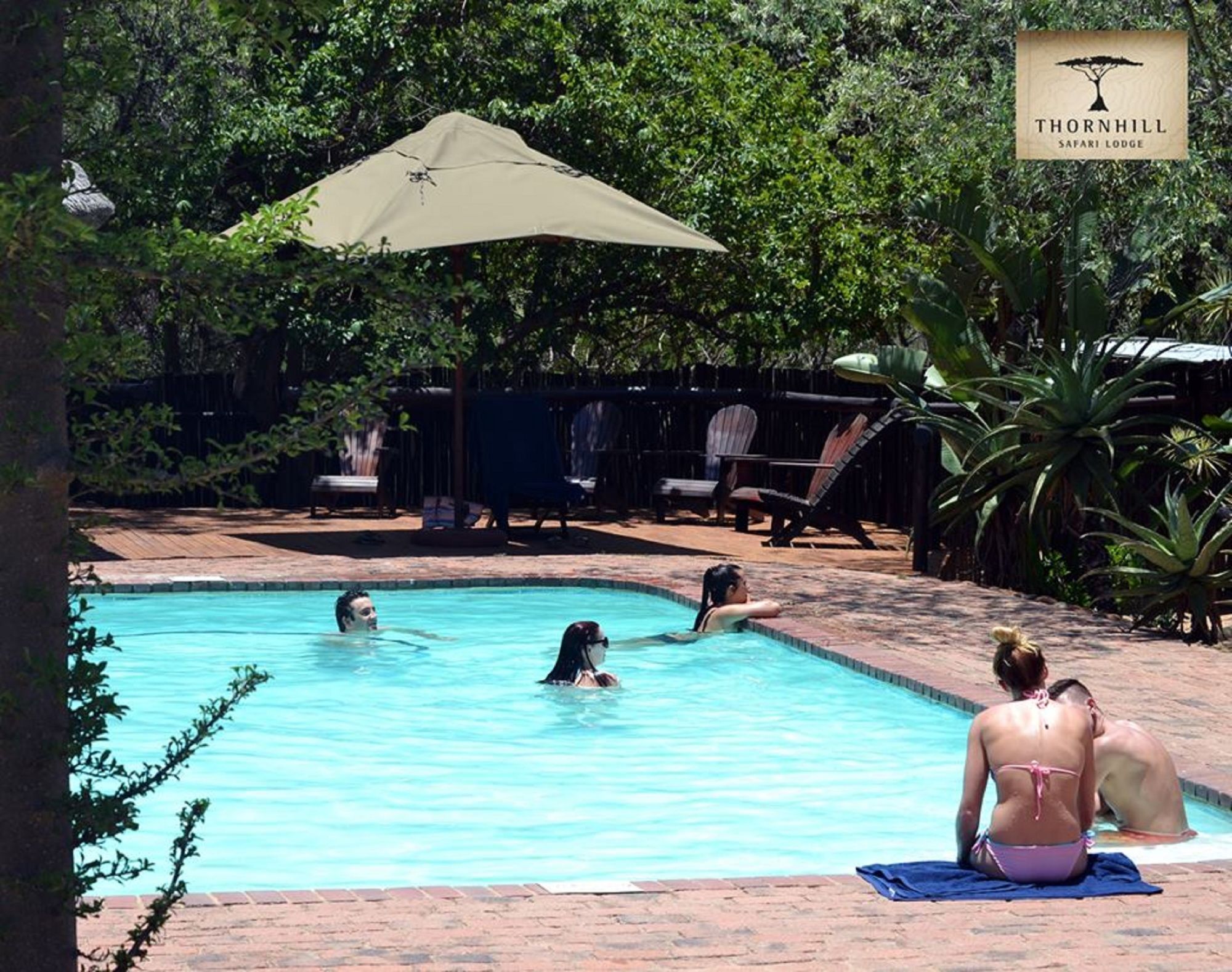 הודספרויט Thornhill Safari Lodge מראה חיצוני תמונה